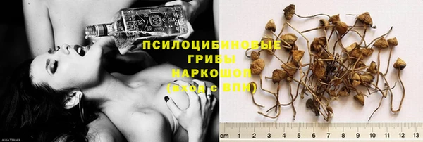 стафф Горно-Алтайск