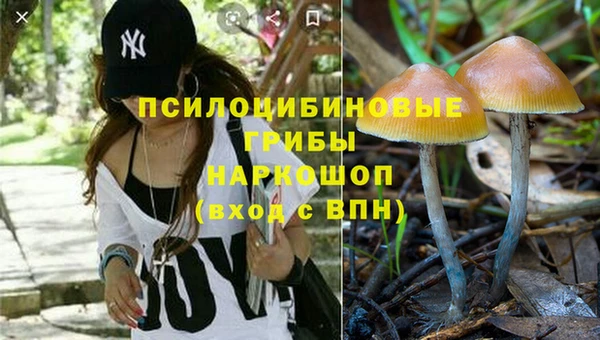 стафф Горно-Алтайск