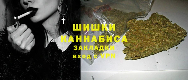 ПСИЛОЦИБИНОВЫЕ ГРИБЫ Горнозаводск