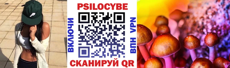 Купить  Новохопёрск  Галлюциногенные грибы Magic Shrooms 
